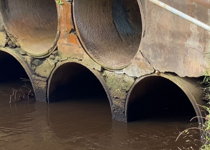 Jembatan di Desa Ujung Padang-Bandar Ratu Rusak dan Tak Tersentuh, Kadis PUPR Klaim Ini Penyebabnya