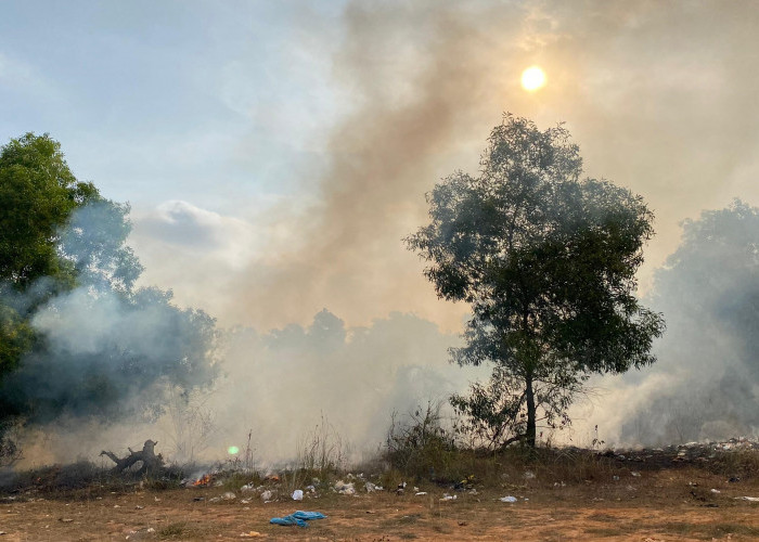 Lahan BKSDA Kebakaran Lagi, Terbakar atau Sengaja Dibakar?