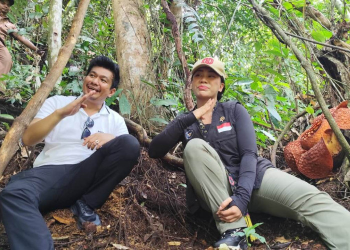 Utusan Khusus Presiden Tinjau Wisata Kemumu, Jadi Sinyal Kuat Pengembangan Wisata Nasional