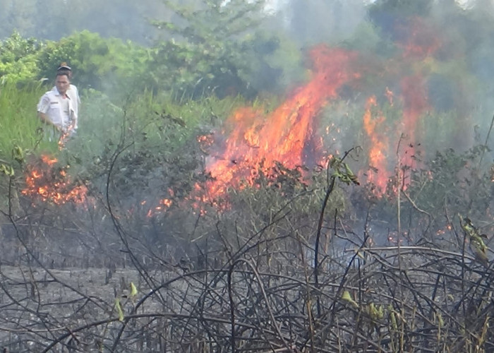 Lahan di Bandara Mukomuko Terbakar, Diduga Akibat Putung Rokok