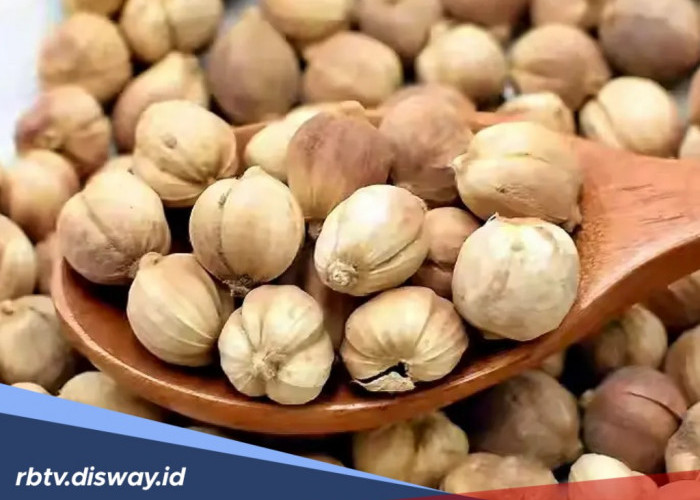 Dijuluki ‘Raja Rempah’, Berikut 5 Manfaat Kapulaga untuk Kesehatan