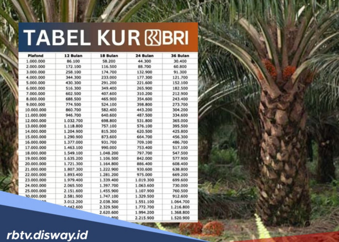 Pinjaman KUR BRI Rp 90 Juta untuk Petani Sawit, Bunga Rendah, Bisa Beli Kebun Baru 