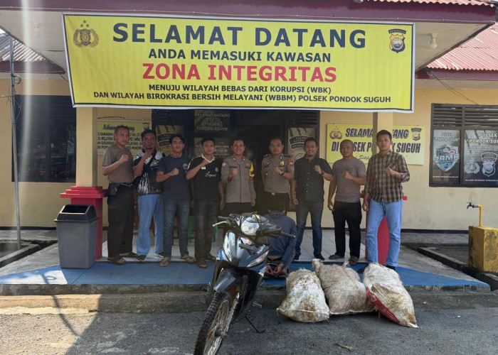 Baru Selesai Sertijab, Kapolsek Pondok Suguh Amankan Pencuri TBS Kelapa Sawit 