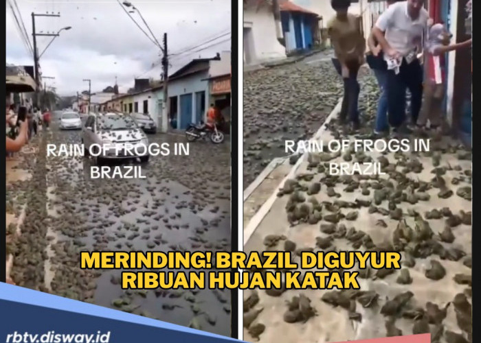 Kenapa Ada Hujan Katak di Brazil, Apakah Ada Kaitannya dengan  Azab Firaun?