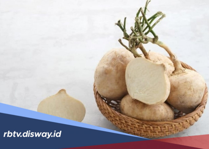 Bukan Cuma Enak Dimakan, Ini Manfaat Ajaib Masker Bengkoang dan Cara Membuatnya
