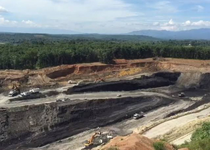 Mulai dari Emas Hingga Batu Bara, Ini 10 Tambang Terbesar yang Ada di Indonesia