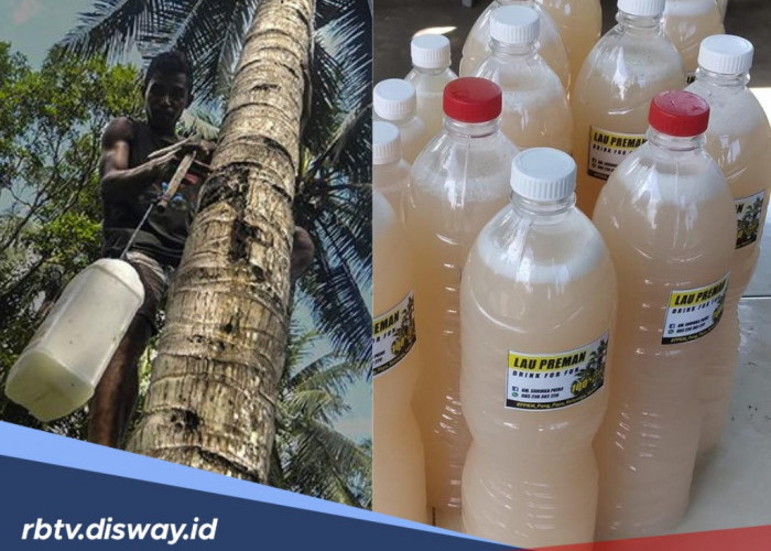 10 Manfaat Tuak Manis untuk Kesehatan, dari Obat Penenang hingga Pelancar Sistem Pencernaan