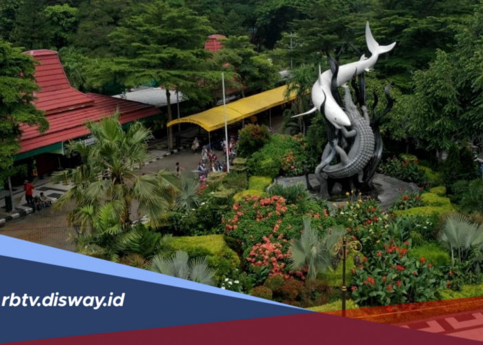 Promo Merdeka 17 Agustus 2026, Harga Tiket Masuk KBS Cuma Rp 10 Ribu 