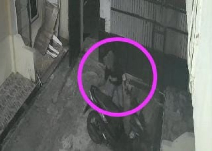 Musang Ranmor Terekam CCTV Gasak Motor Mahasiswi di Kota Bengkulu