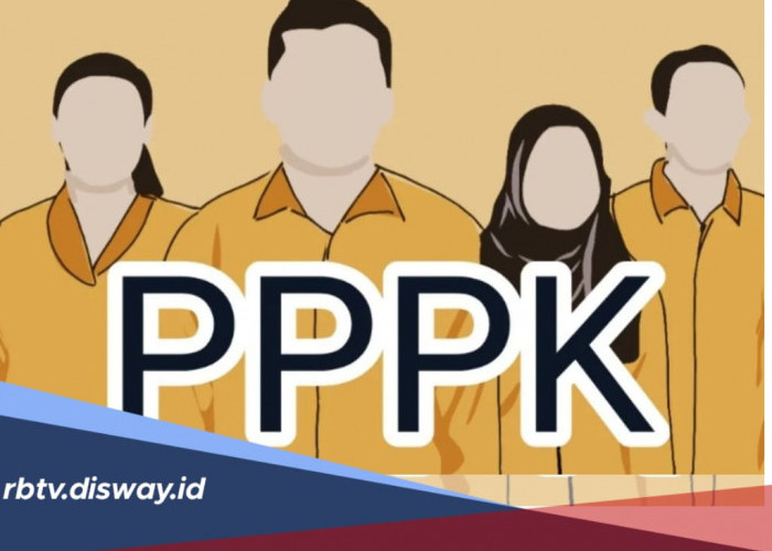 Dibuka September - Oktober 2024, Ini Jumlah Formasi Penerimaan PPPK Terbaru, Cek Rinciannya