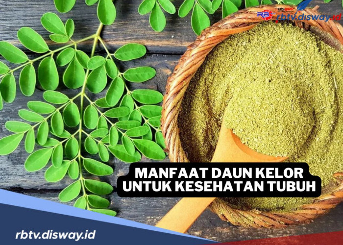 9 Manfaat Luar Biasa Daun Kelor untuk Kesehatan Tubuh, Begini Cara Konsumsinya