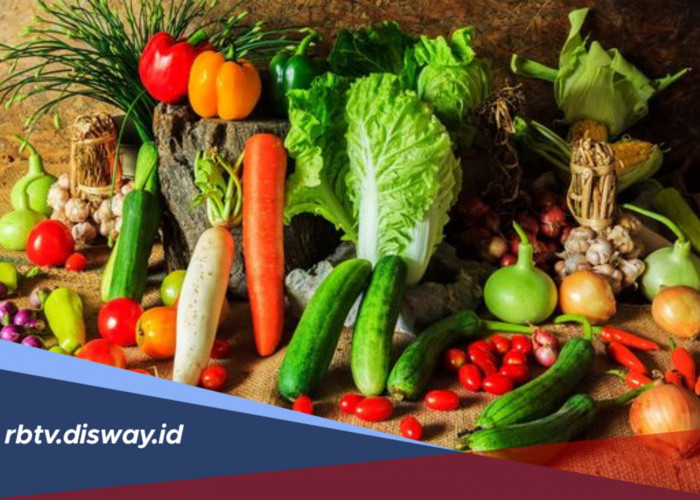 Ingin Mata Tetap Sehat? Yuk Coba Konsumsi 5 Sayuran Ini