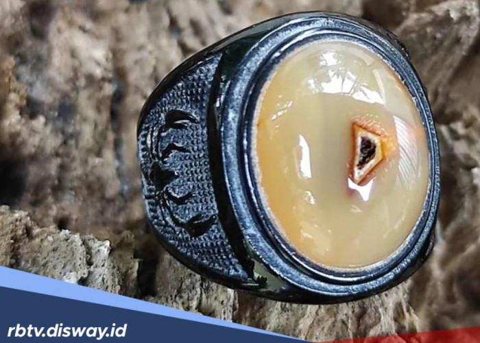20 Batu Akik Paling Sakti di Indonesia, Termasuk Rafflesia Bengkulu?