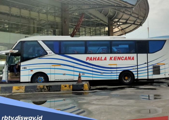 Cek Rute dan Jam Keberangkatan Bus Pahala Kencana di Sini, Segera Pesan Tiket Mudik Lebaran