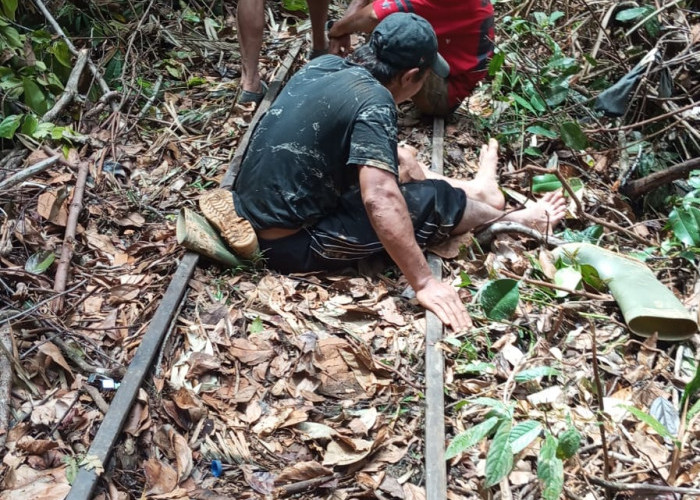 Rel Molek di Lebong Tandai Putus Diterjang Longsor, Gerbong Angkutan Logistik Terjun ke Jurang