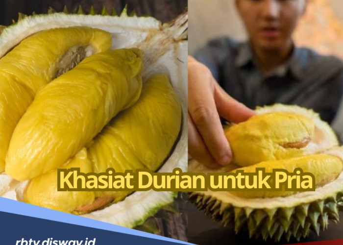 Rahasia 6 Khasiat Buah Durian untuk Pria, Nomor 1 Cocok yang Bagi Anda yang Lagi Program