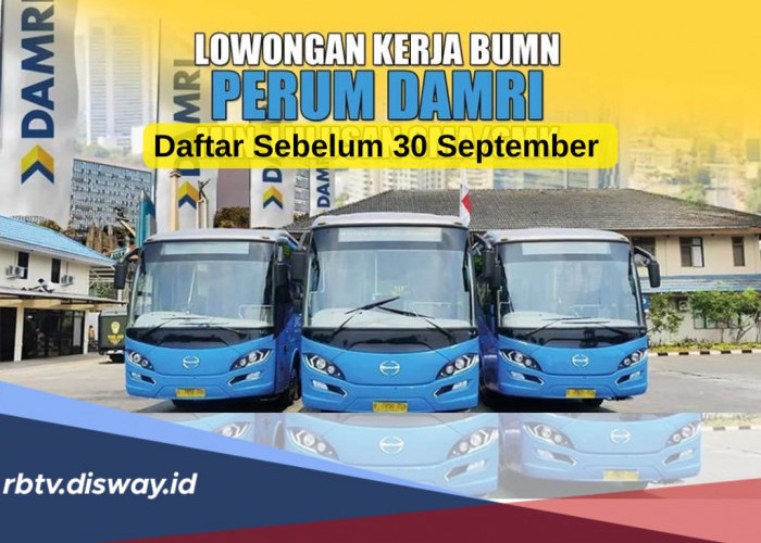 Loker Perum Damri Terbaru, Syarat Usia Maksimal 35 Tahun, Daftar Sebelum 30 September 2024!