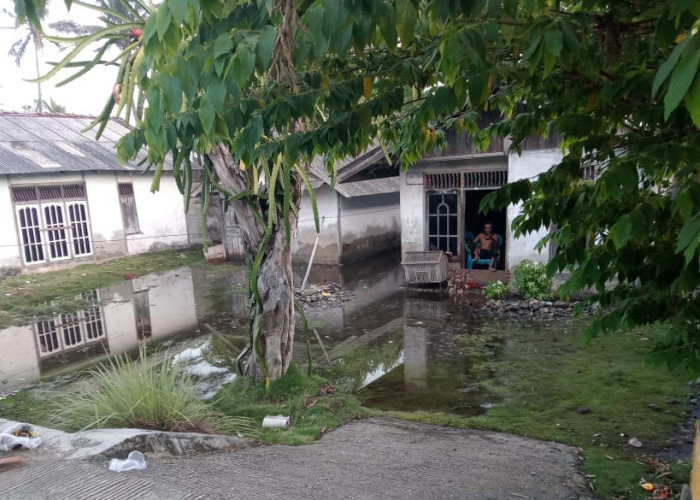 Ratusan Rumah Warga Desa Padang Bakung Terendam Banjir Rob, Air Sumur Tak Layak Dikonsumsi 