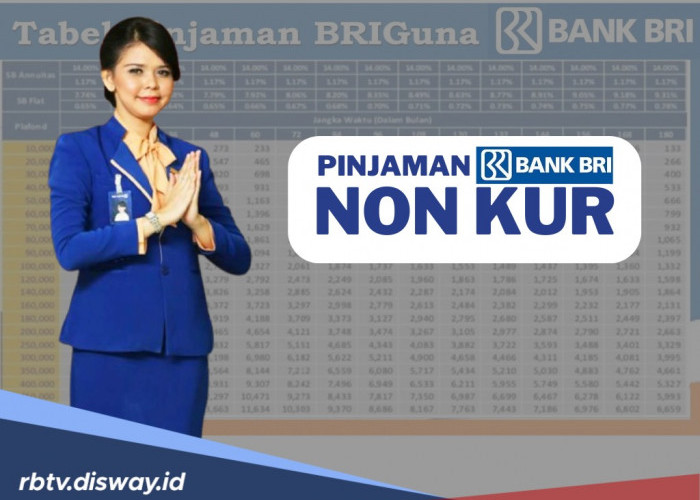 Tabel Pinjaman BRI 2025 Non KUR, Cairkan Modal Renovasi Rumah hingga Rp 500 Juta