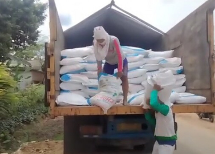 Jumlah Stok Pupuk Subsidi 2025 di Kabupaten Seluma Apakah Aman? Cek Harga Terbarunya