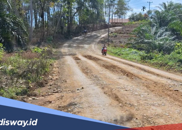 Daftar 10 Titik Ruas Jalan di Mukomuko yang Akan Dibangun dengan Dana Alokasi Umum, Digelontorkan Rp 15,3 M