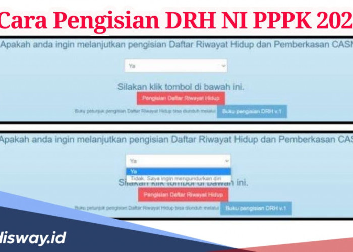 Peserta PPPK yang Lulu Seleksi, Begini Cara Pengisian DRH NI PPPK 2024