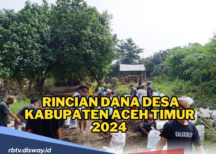 Dana Desa Kabupaten Aceh Timur 2024 di 513 Desa, Ini Rincian Dana yang Diterima