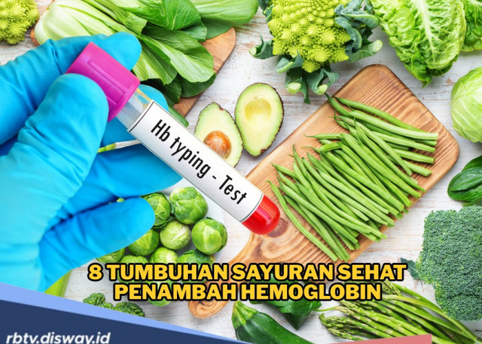 8 Tumbuhan Penambah Hemoglobin untuk Atasi Anemia, Tubuh Kembali Sehat dan Prima