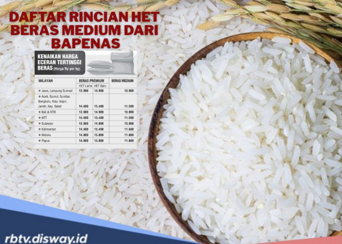 Resmi Naik! Berikut Daftar HET Beras Medium Terbaru di Berbagai Daerah