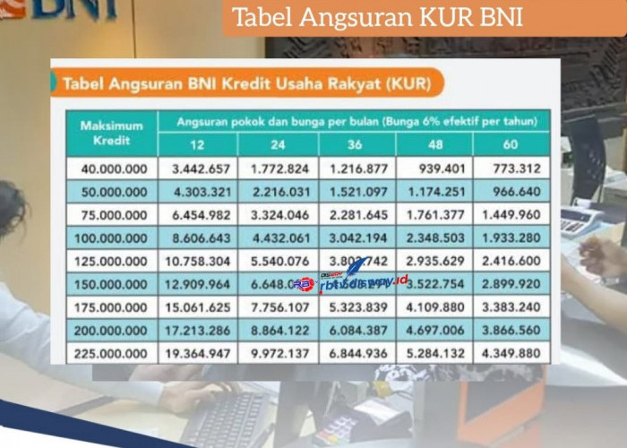 Tabel Angsuran KUR BNI 2024 Plafon Rp 10-50 Juta Tenor 5 Tahun, Bunga, Syarat Pengajuan Lengkap