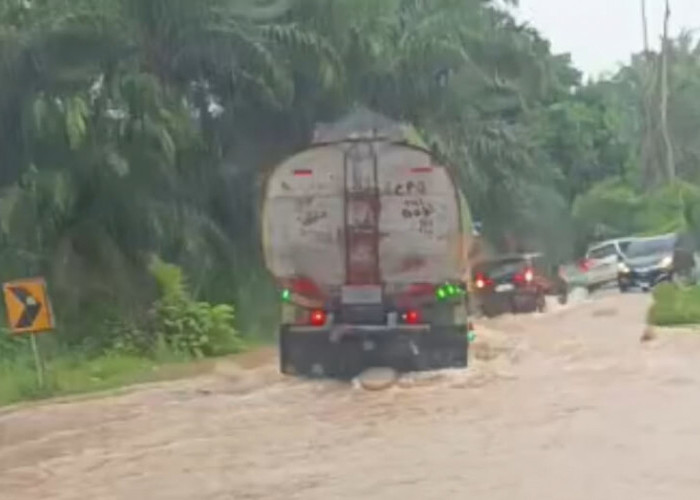 Jalan Lintas Bengkulu-Manna di Desa Air Latak Terendam Banjir dan Pohon Tumbang