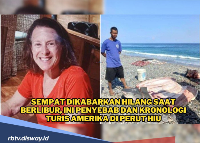 Sempat Dikabarkan Hilang, Ini Penyebab dan Kronologi Bagian Tubuh Turis Amerika Ditemukan di Perut Hiu