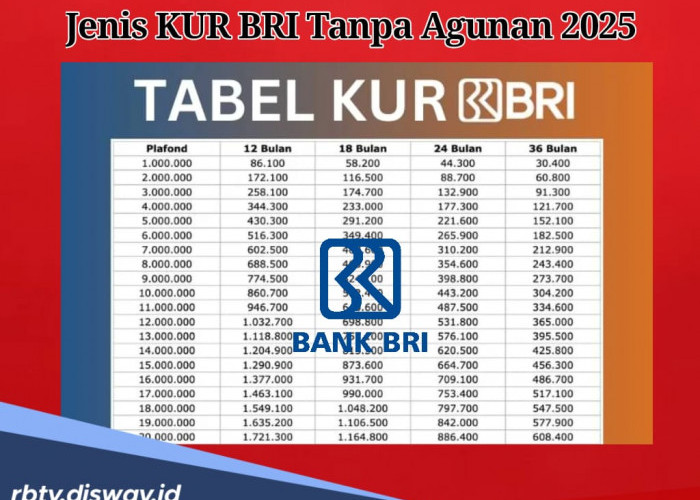 Jangan Bingung, Ini Jenis KUR BRI Tanpa Agunan 2025