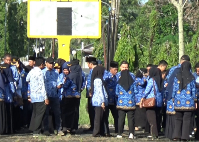 Angka Perceraian ASN Menurun di Wilayah Ini, Hingga Juli hanya Ada 3 Kasus