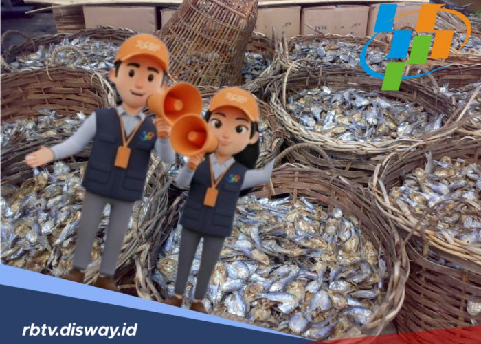 Tugas dan Risiko Mitra Statistik BPS yang Tidak Capai Target Kontrak