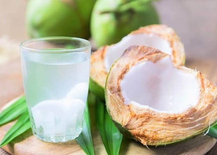 Awas, 7 Kelompok Ini Dilarang Minum Air Kelapa Muda, Siapa Saja Mereka dan Apa Alasannya?