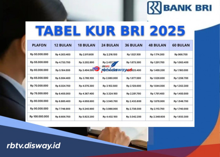 KUR BRI Bulan November 2025, Pelaku UMKM Makin Sukses Berkat Pinjaman Rp 60 Juta, Berapa Cicilannya?