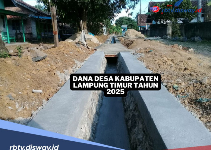 Rincian Dana Desa di Kabupaten Lampung Timur Tahun 2025, Segini Dana yang Diterima Tiap Desa