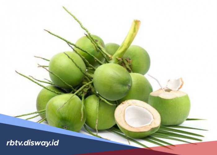 Manfaat Kelapa untuk Kecantikan, Rahasia Alami Kulit Sehat dan Glowing