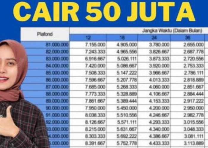 KTP Jenis Ini Bisa Ajukan KUR di BRI Rp50 Juta Tanpa Agunan, Simak di Sini