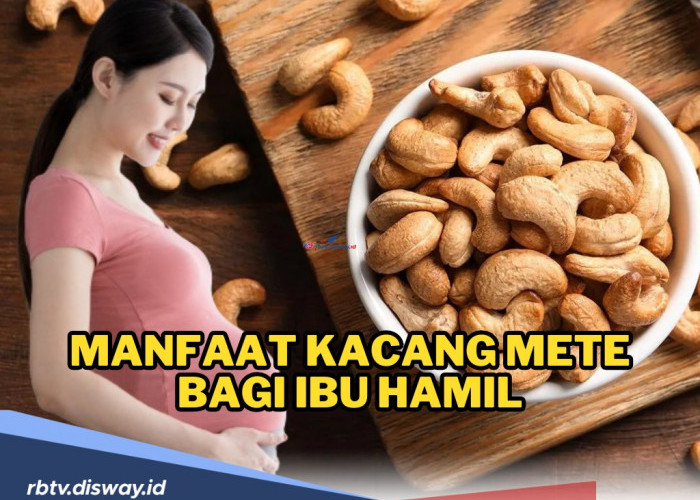 Moms, Ini Manfaat Kacang Mete Bagi Ibu Hamil, Salah Satunya Jadi Sumber Protein dan Lemak Baik