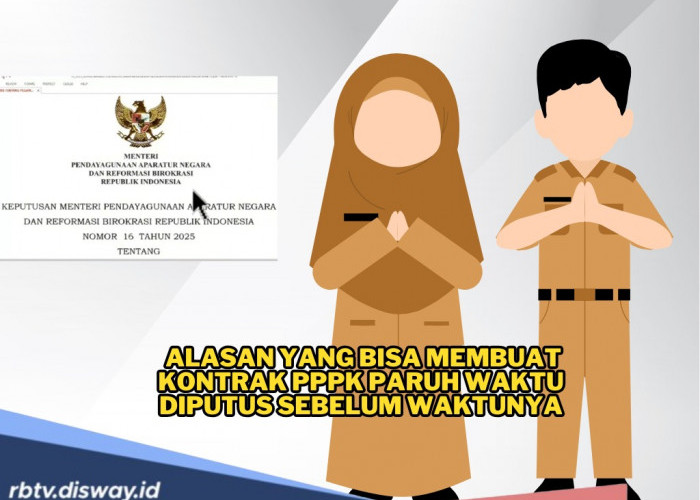 Hati-hati! Ini 11 Alasan yang Bisa Membuat Kontrak PPPK Paruh Waktu Diputus Sebelum Waktunya