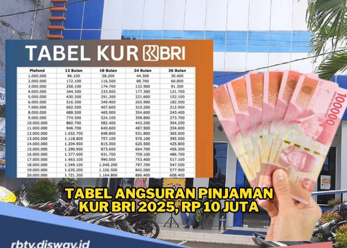 Sudah 649.6000 Debitur UMKM Terima Penyaluran KUR BRI 2025, Ini Tabel Angsuran Pinjaman Rp 10 Juta