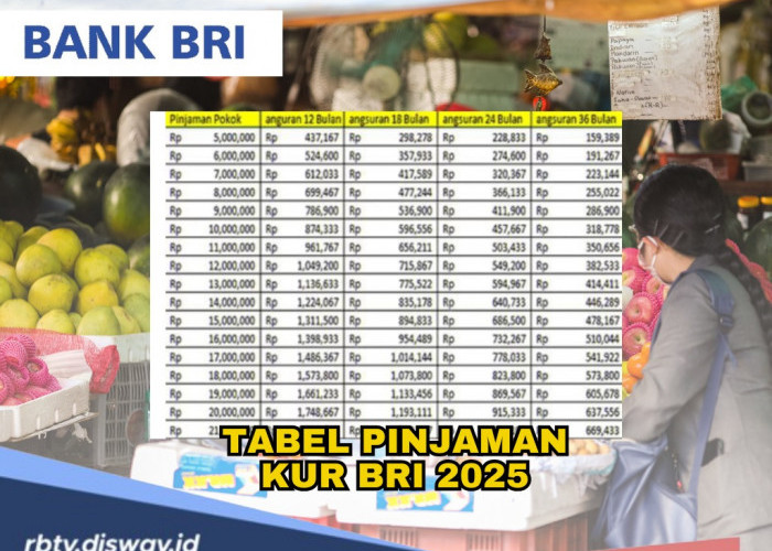 Tabel Pinjaman KUR 2025 di BRI dengan Pinjaman Rp 200 Juta, Ini Angsuran, Syarat dan Caranya 