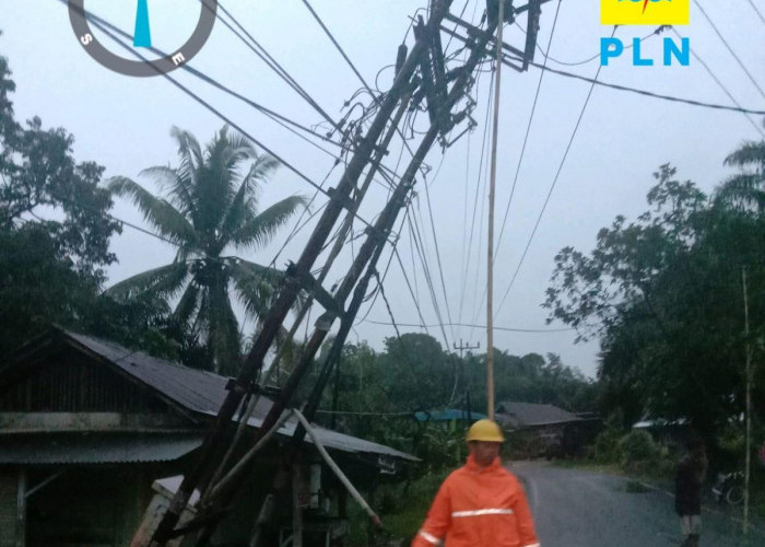 Belasan Tiang Listrik di Bengkulu Utara Roboh, Listrik di Wilayah Ini Masih Padam