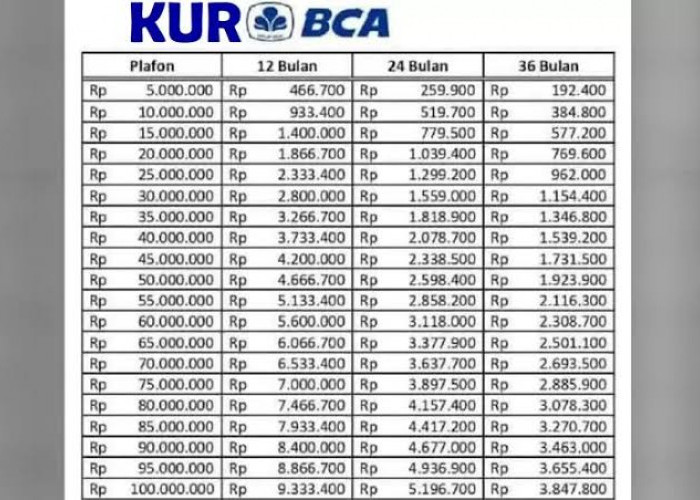 Simulasi Tabel Angsuran KUR BCA 2025 Pinjaman Rp25 - Rp 50 Juta, Pinjaman Tanpa Jaminan