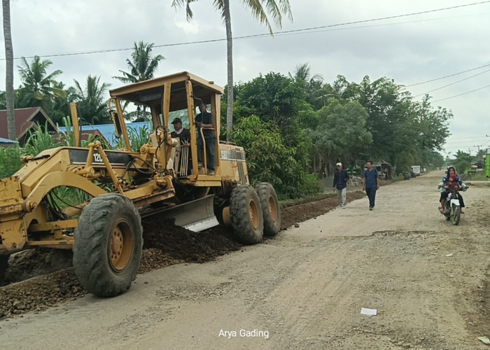 Diinisiasi Anggota DPRD Seluma Wandi, Warga Desa Riak Siabun Swadaya Rehab Jalan Link Provinsi Bengkulu