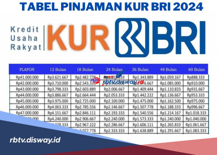 Tabel Pinjaman KUR BRI Terbaru 2024, Pinjam Rp 25 Juta Angsuran Cuma Segini