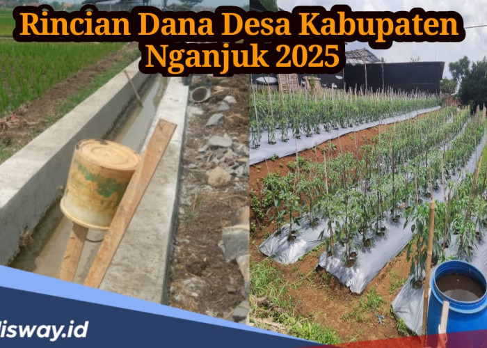 Rincian Dana Desa Kabupaten Nganjuk 2025, Berapa Jumlah Desa yang Dapat Anggaran hingga Rp 1 Miliar?