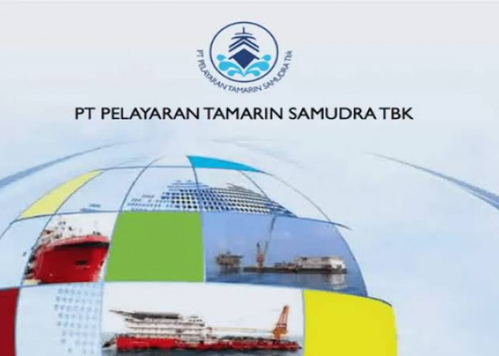Lowongan Kerja Januari 2024 Bidang Pelayaran di PT Pelayaran Tamarin Samudera Untuk Pria dan Wanita